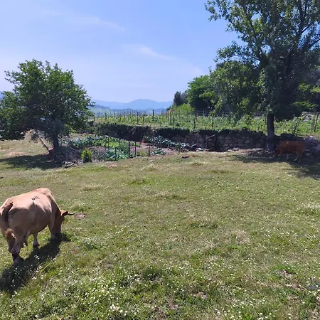 Casa Do Cabo * Ribeira de Pena