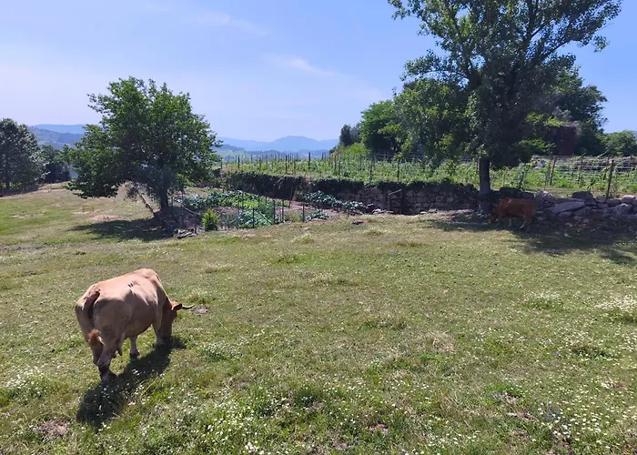 Casa Do Cabo * Ribeira de Pena