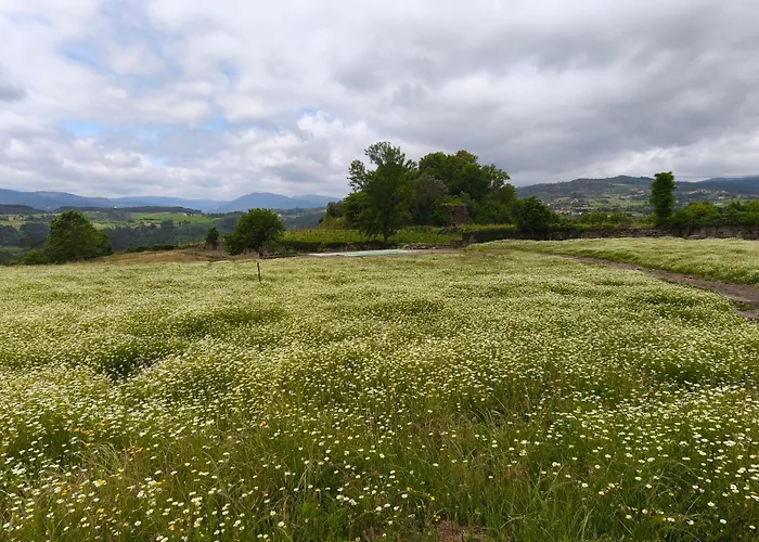 Casa Do Cabo Semesterbostad Ribeira de Pena